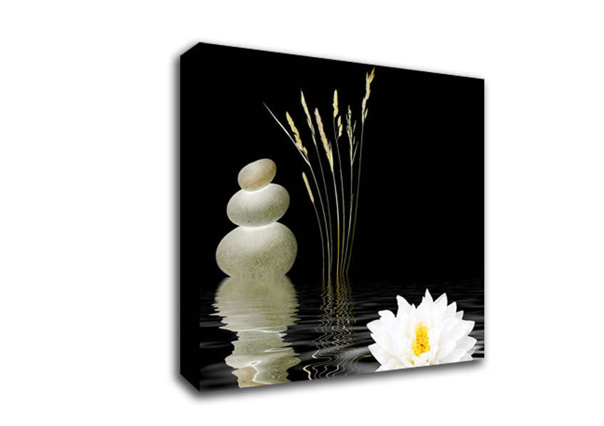 Picture of Waterlily Reflection Ripples Square Canvas Wall Art