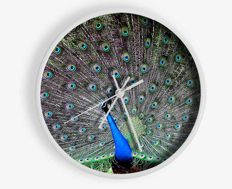 Indian Peafowl Clock - Wallart-Direct UK