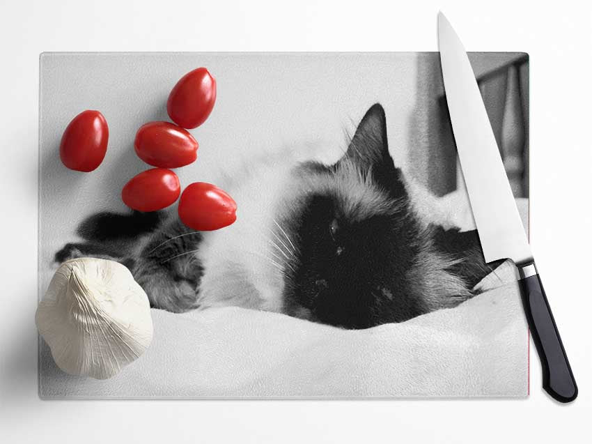 Its A Cats Life B n W Glass Chopping Board