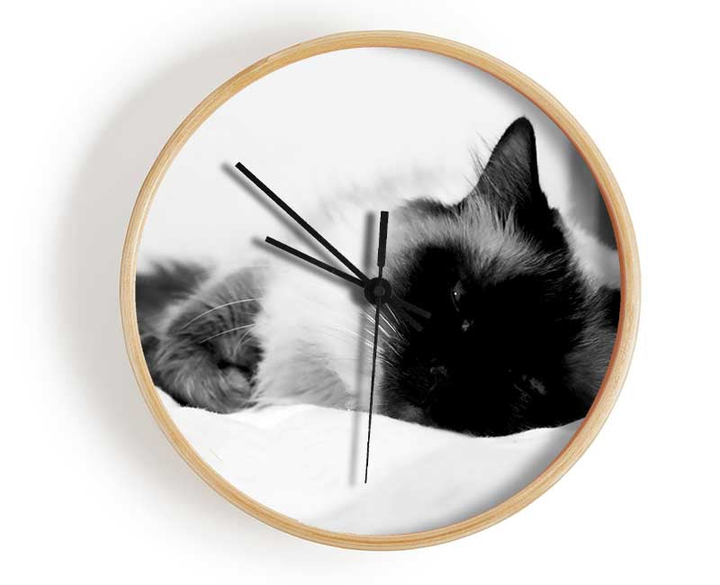 Its A Cats Life B n W Clock - Wallart-Direct UK