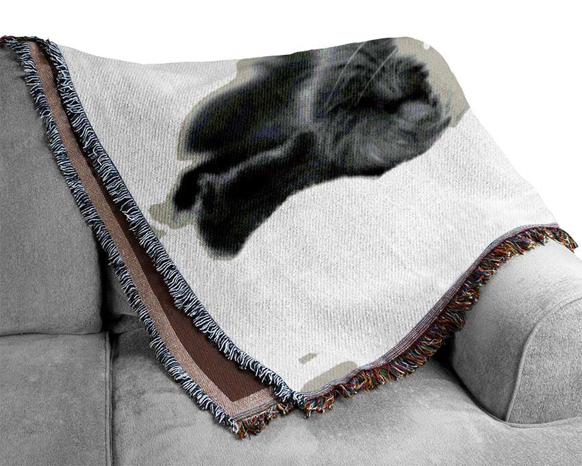 Its A Cats Life B n W Woven Blanket