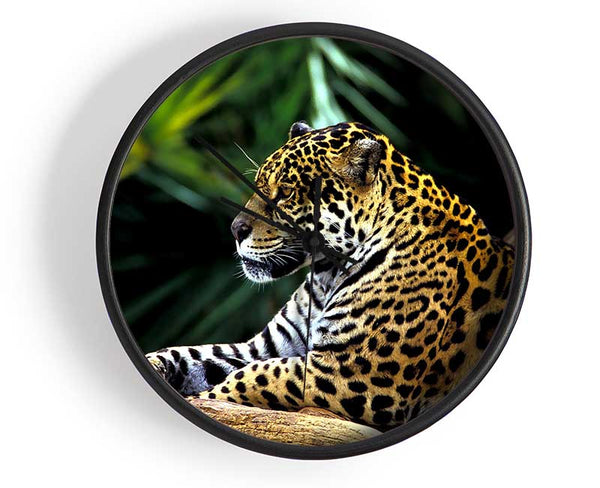 Jaguar In The Amazon Rainforest Clock - Wallart-Direct UK