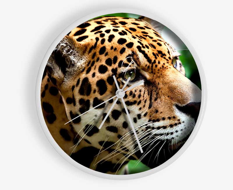 Jaguar The Big Cat Clock - Wallart-Direct UK