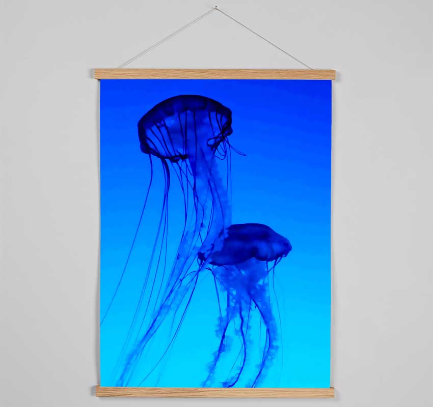 Jellyfish Duo Hanging Poster - Wallart-Direct UK