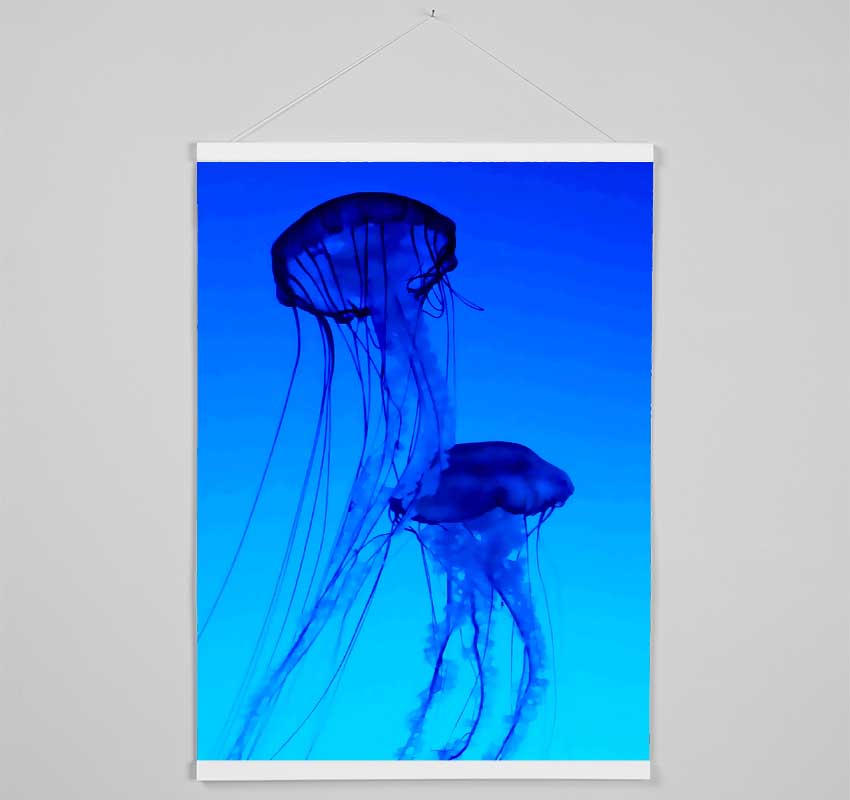 Jellyfish Duo Hanging Poster - Wallart-Direct UK