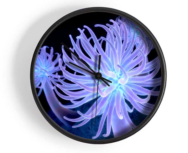 Jellyfish Looks Clock - Wallart-Direct UK