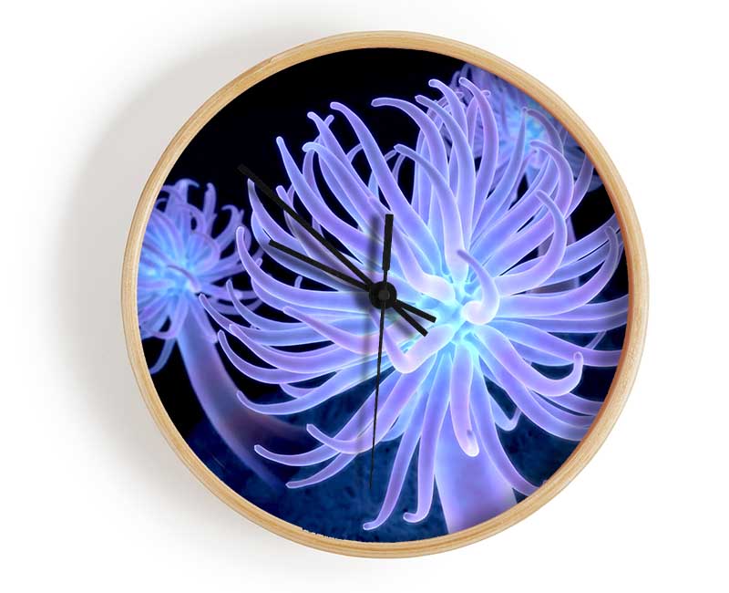 Jellyfish Looks Clock - Wallart-Direct UK