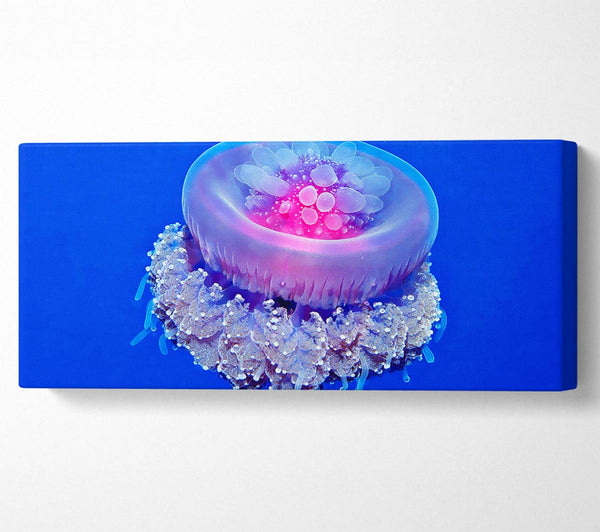 Jellyfish Pink