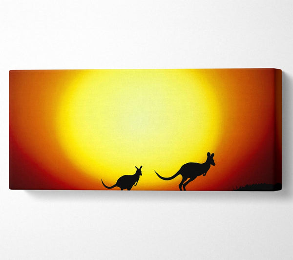 Kangaroos By Sunlight