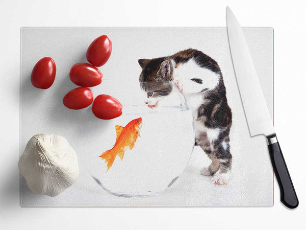 Kitten VS Fish Glass Chopping Board