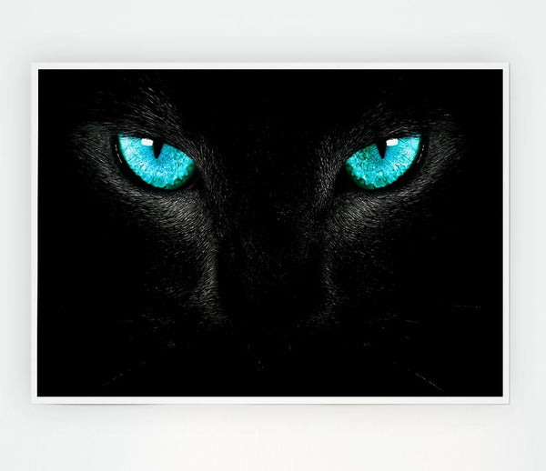 Blue Eyes Cat Print Poster Wall Art