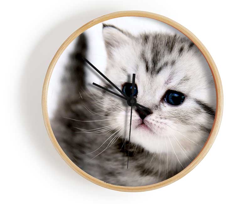 Kitty Cat Clock - Wallart-Direct UK