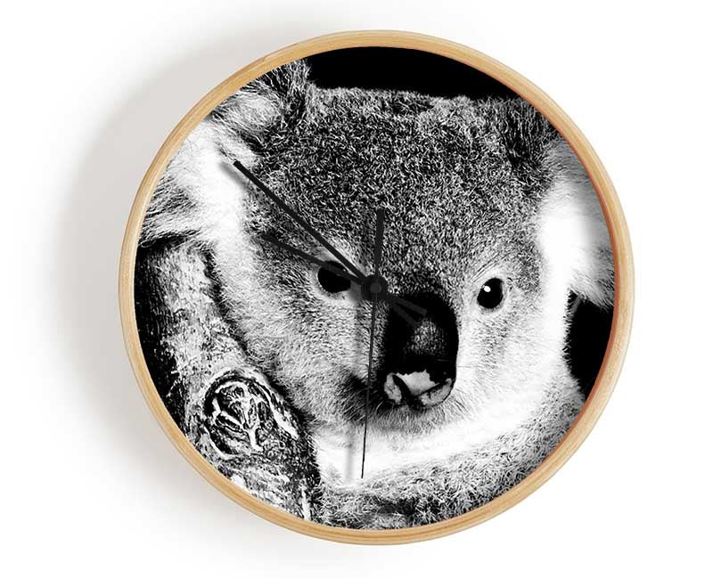 Koala Bear Clock - Wallart-Direct UK