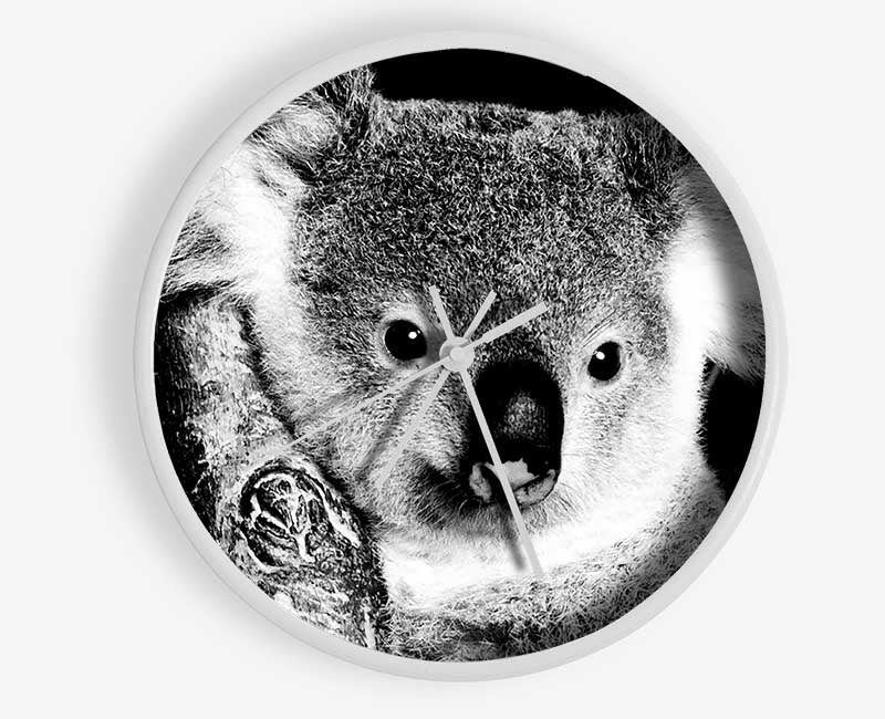 Koala Bear Clock - Wallart-Direct UK