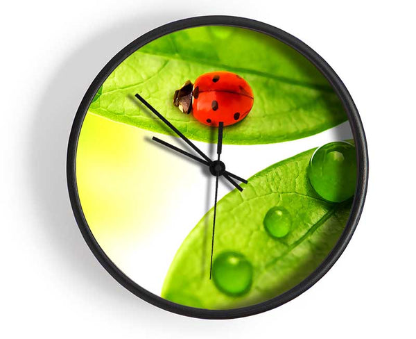 Ladybird Clock - Wallart-Direct UK