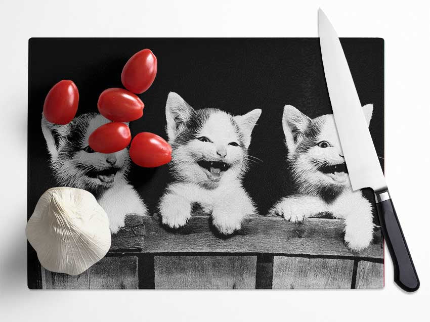 Laughing Kittens Glass Chopping Board