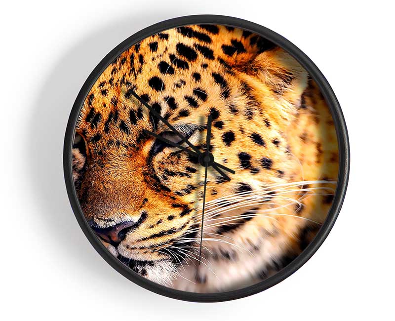 Leopard Close Up Clock - Wallart-Direct UK