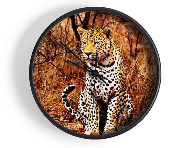 Leopard Hunt Clock - Wallart-Direct UK