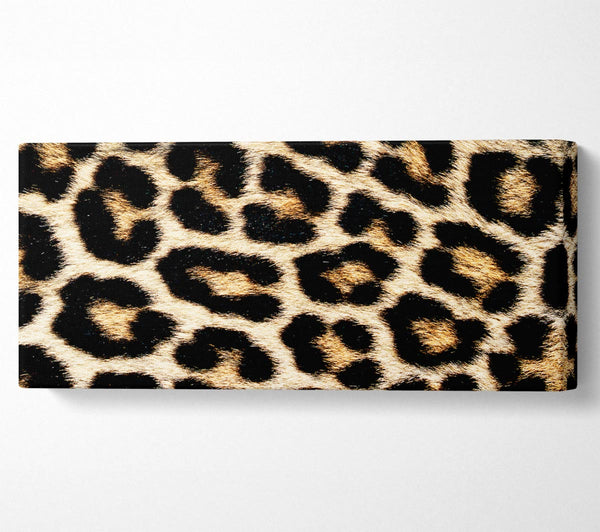 Leopard Skin