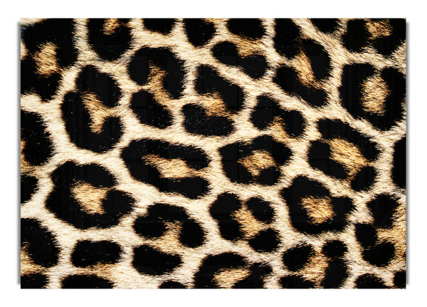 Leopard Skin