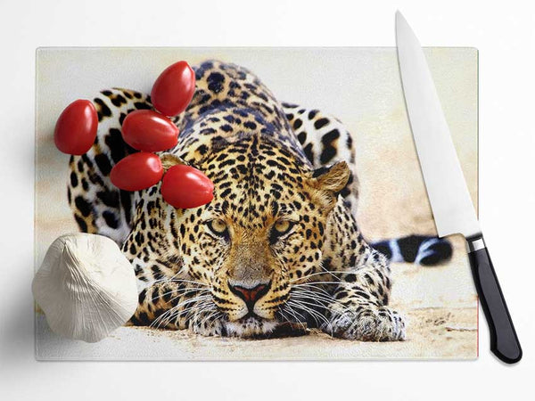 Leopard Staring Glass Chopping Board