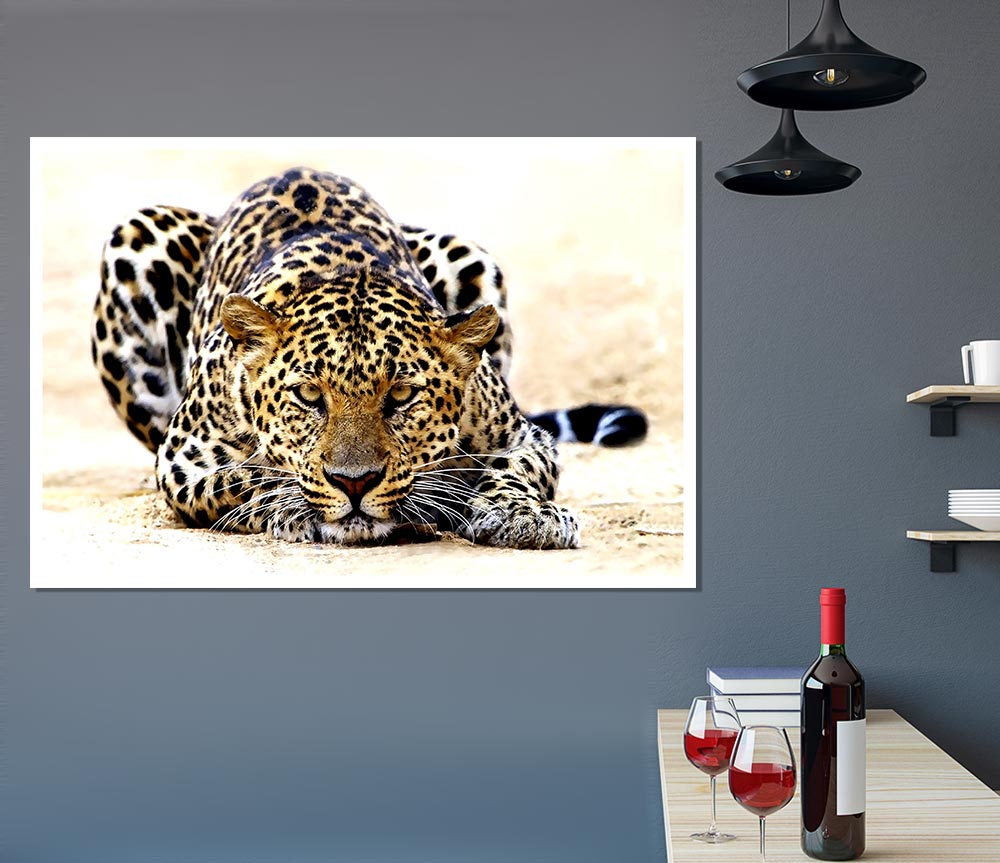 Leopard Staring Print Poster Wall Art