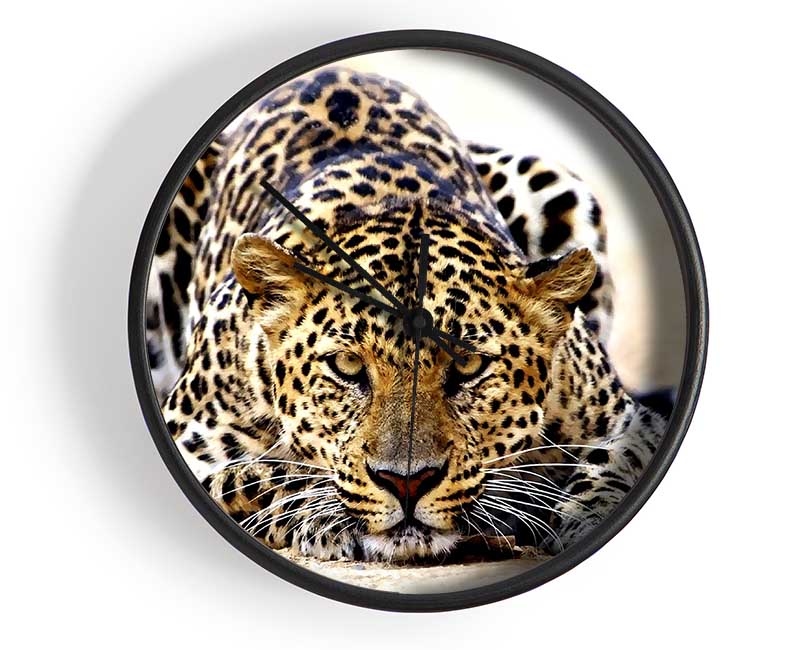 Leopard Staring Clock - Wallart-Direct UK