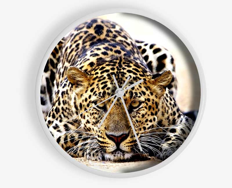 Leopard Staring Clock - Wallart-Direct UK