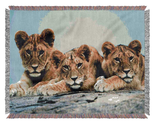 Lion Cub Trio Woven Blanket