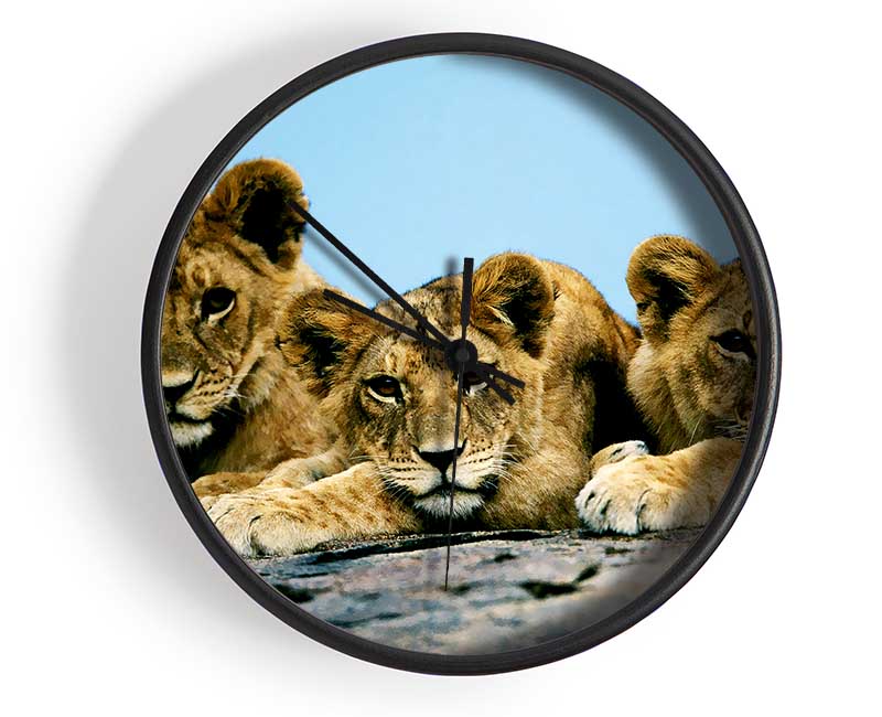 Lion Cub Trio Clock - Wallart-Direct UK