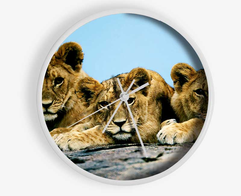 Lion Cub Trio Clock - Wallart-Direct UK