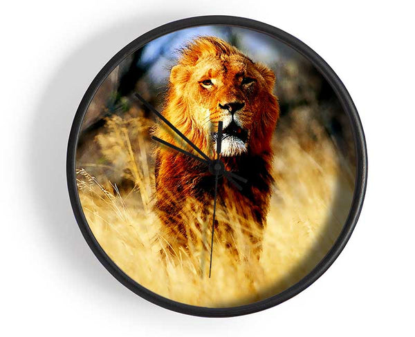 Lion Jungle Clock - Wallart-Direct UK