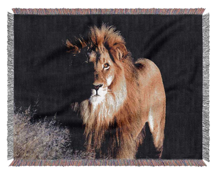 Lion Watch Woven Blanket