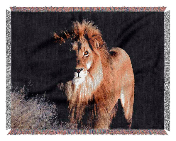 Lion Watch Woven Blanket