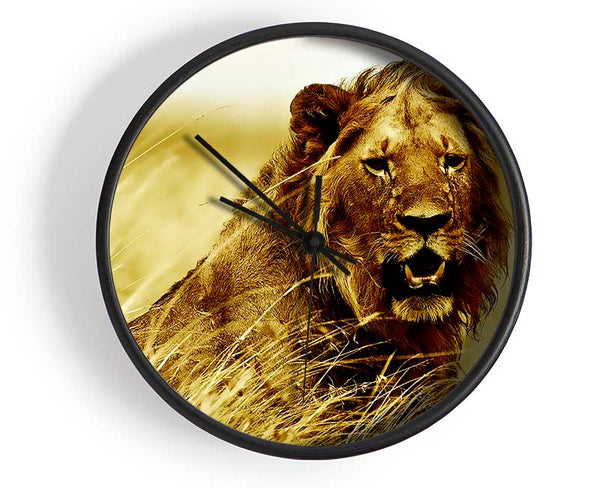 Lion Watching Out For Dinner Clock - Wallart-Direct UK