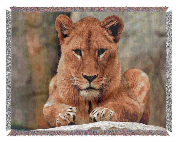 Lioness Watch Woven Blanket