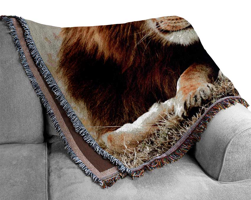 Lions Love Wild Cats Animals Woven Blanket