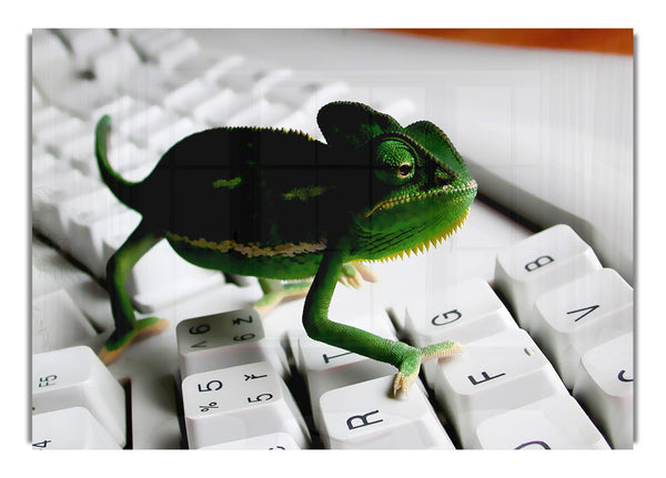 Lizard Keyboard