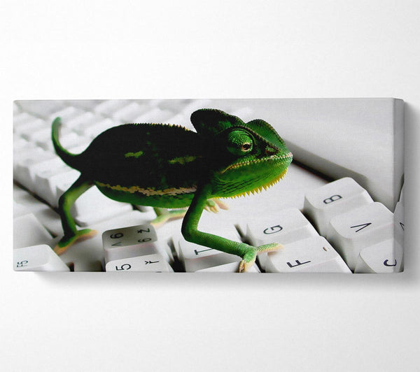 Lizard Keyboard