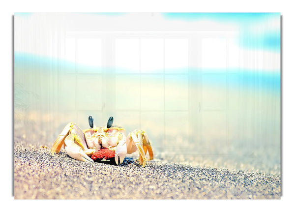 Lonely Crab