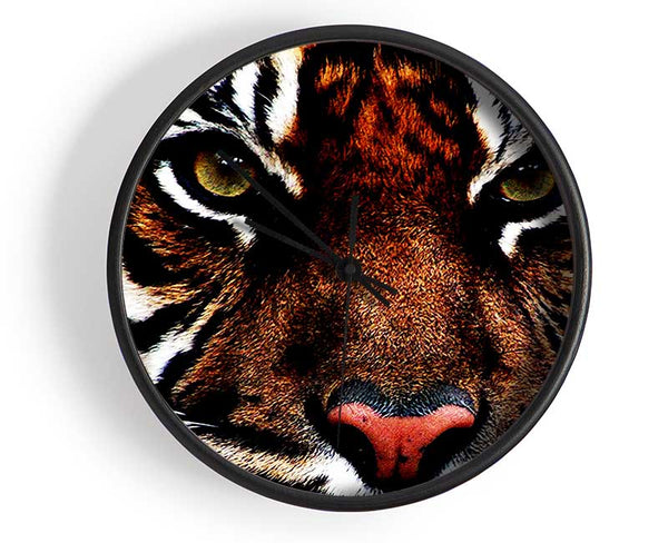 Male Tiger Face Clock - Wallart-Direct UK