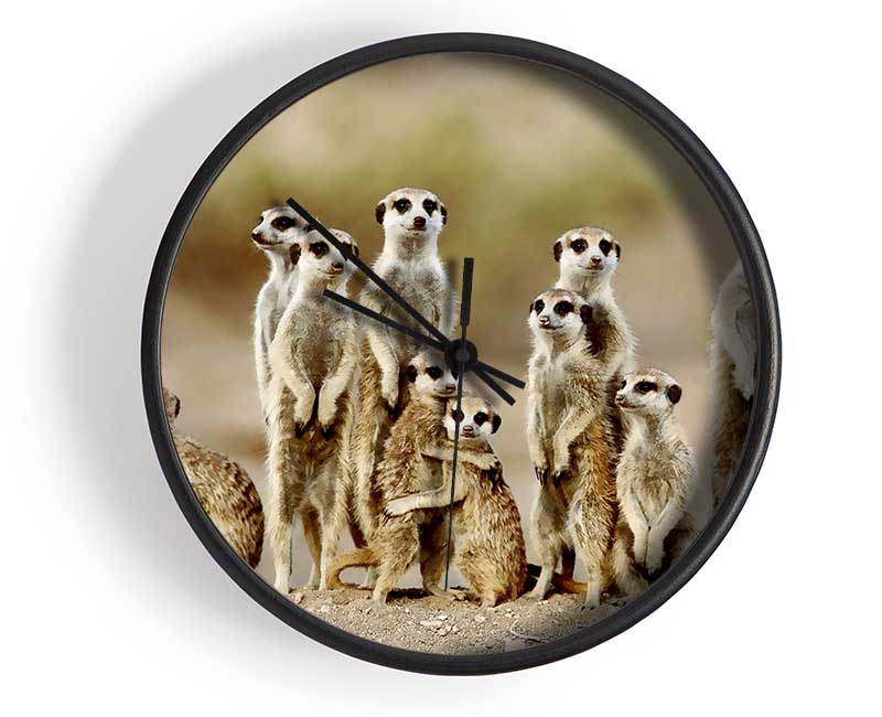 Meerkat Family Clock - Wallart-Direct UK