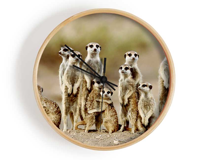 Meerkat Family Clock - Wallart-Direct UK