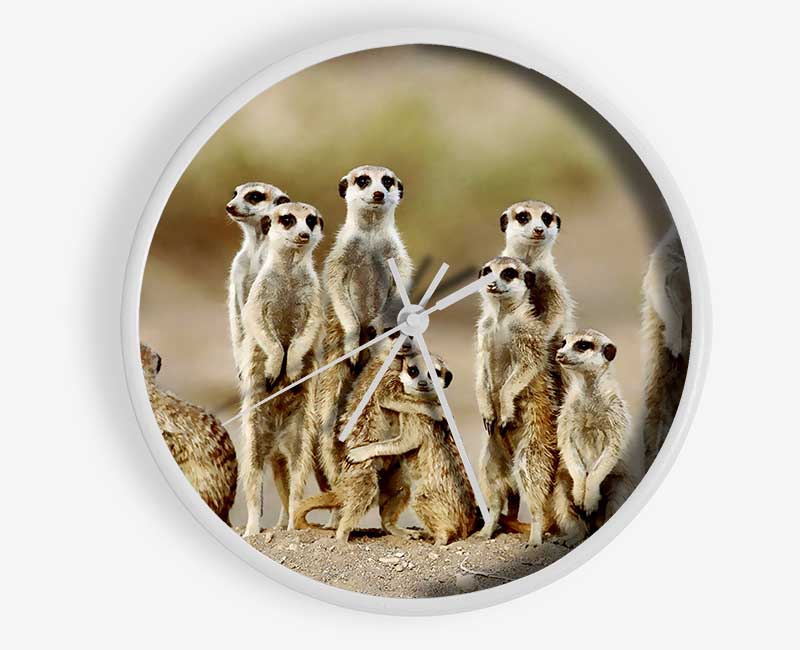 Meerkat Family Clock - Wallart-Direct UK