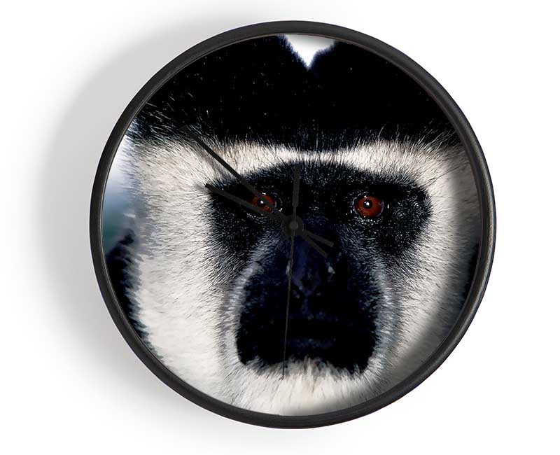 Monkey Face Clock - Wallart-Direct UK