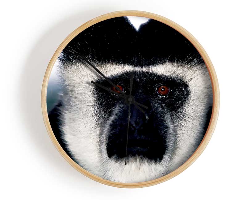 Monkey Face Clock - Wallart-Direct UK