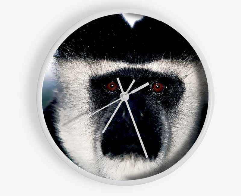 Monkey Face Clock - Wallart-Direct UK