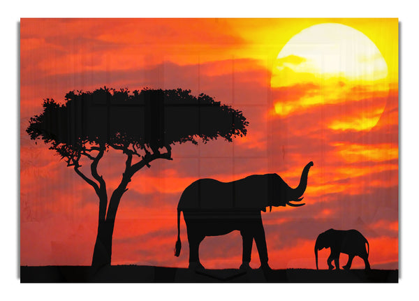 Mother And Baby Elephant Silhouetted At Sunrise Kenya