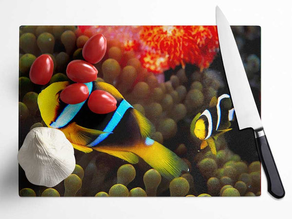 Neon Clown Fish Glass Chopping Board