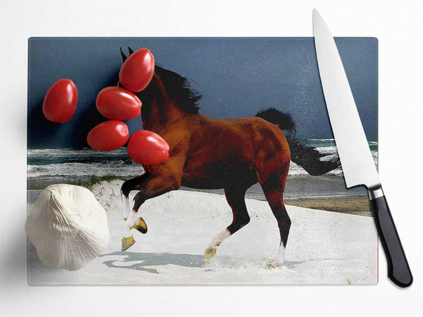 Ocean Horse Beauty Glass Chopping Board